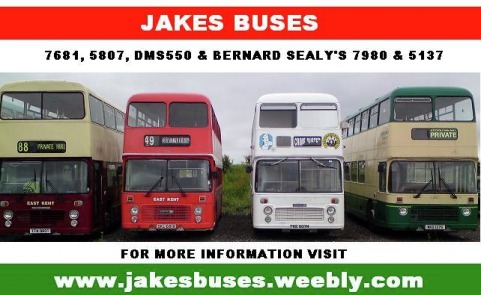 4899910.jpg