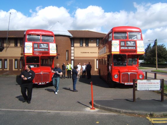 bothbuses1.jpg